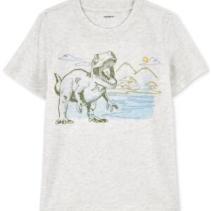 Carters Toddler Boys Dinosaur Graphic Gray