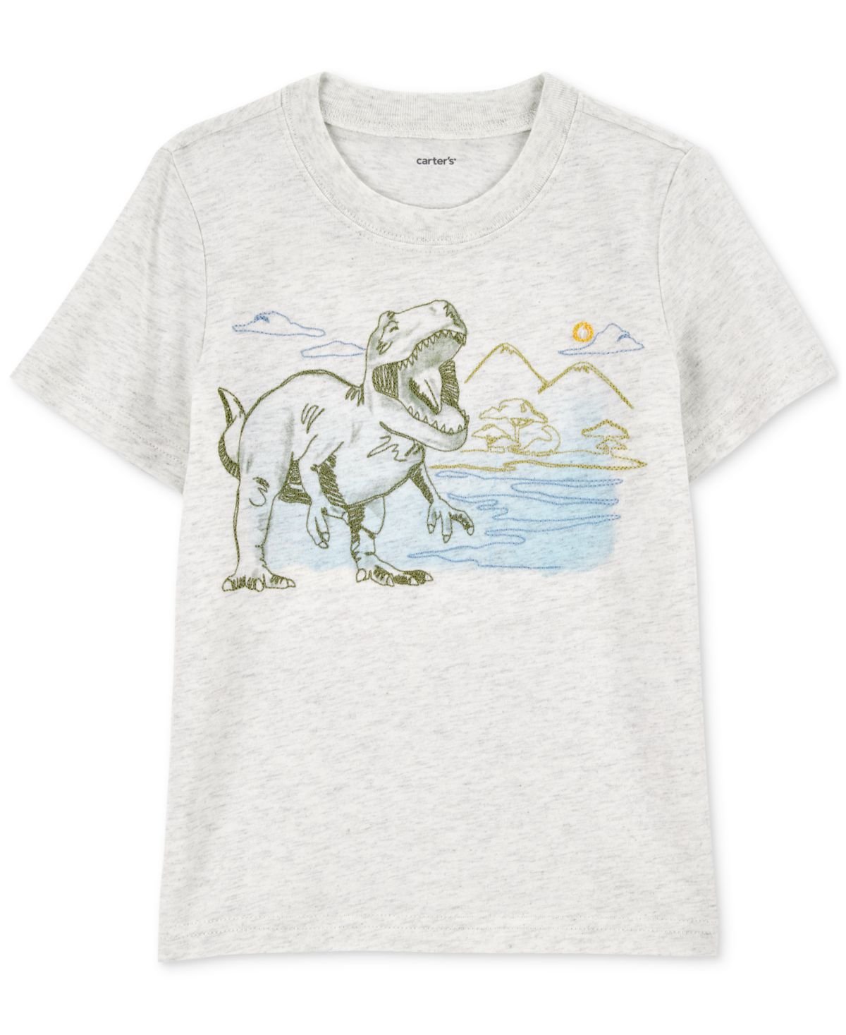 Carters Toddler Boys Dinosaur Graphic Gray