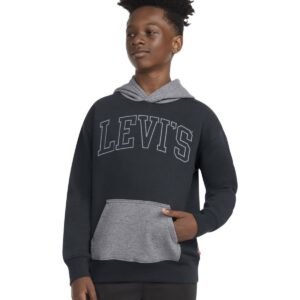 Levis Boys Classic Color Blocked Pu Sage Green